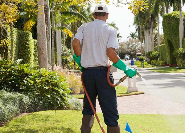 About Lakeview NC Pest Control Pros